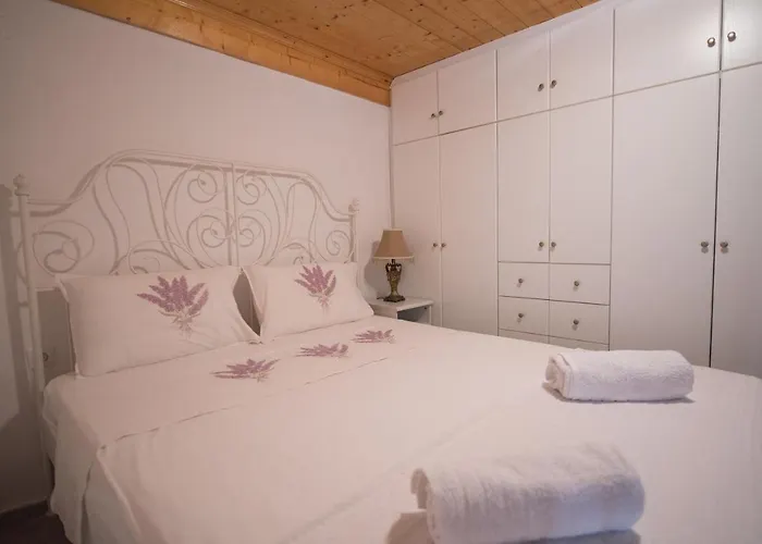 Filippa's Katoi Drymon